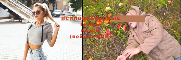 таблы Алексеевка