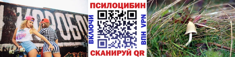 где найти наркотики мориарти официальный сайт Галлюциногенные грибы Cubensis Березники ссылка на мегу рабочий сайт