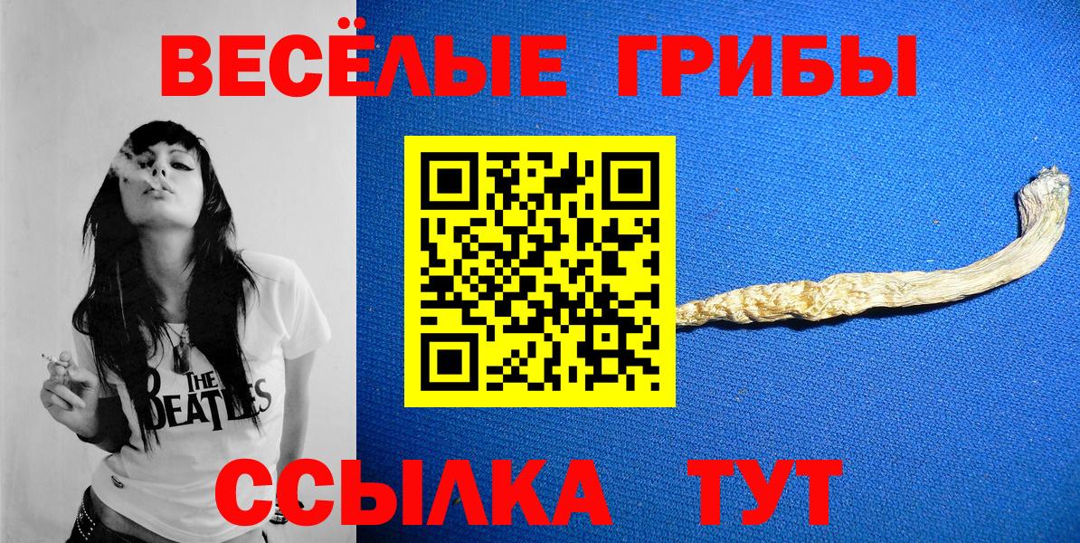 Псилоцибиновые грибы Cubensis Березники