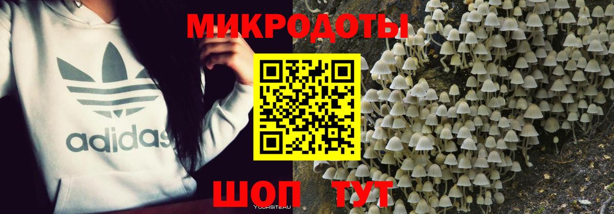 Березники  Псилоцибиновые грибы Psilocybine cubensis  Вход с VPN 